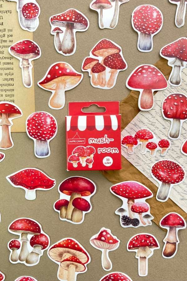 Kutulu Kırmızı Mantar Temalı Sticker Seti / Bullet Journal Sticker(Kopya)