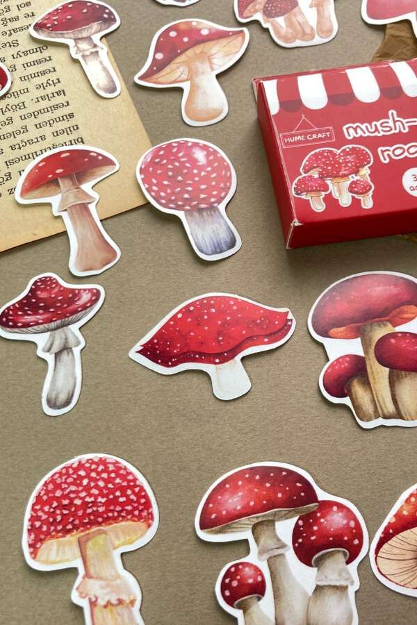 Kutulu Kırmızı Mantar Temalı Sticker Seti / Bullet Journal Sticker(Kopya)