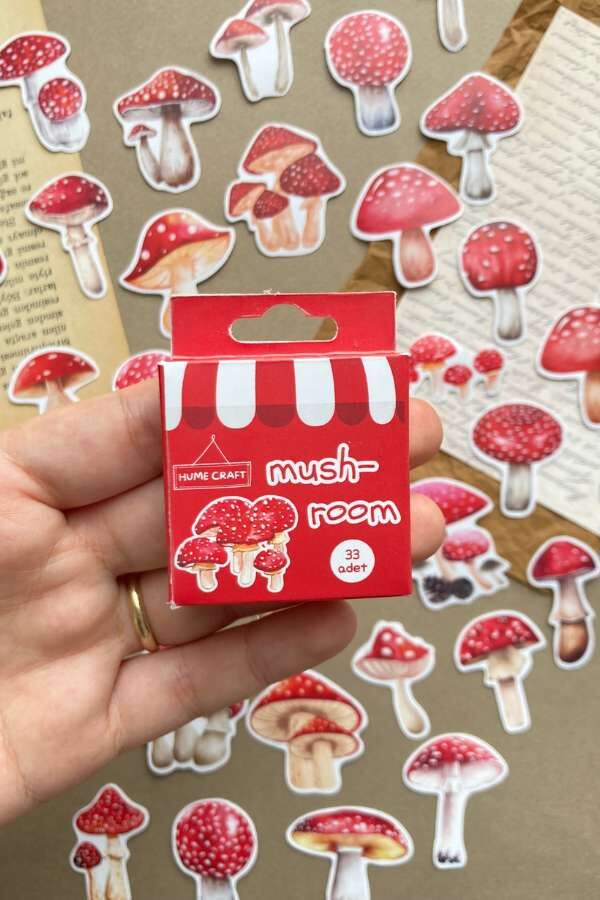 Kutulu Kırmızı Mantar Temalı Sticker Seti / Bullet Journal Sticker(Kopya)
