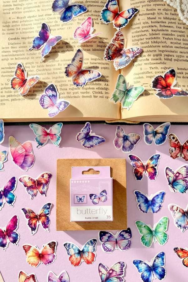 Kutulu Kelebek Temalı Sticker Seti / Bullet Journal Sticker