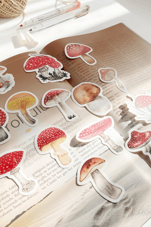 Kırmızı Mantar Sticker Seti