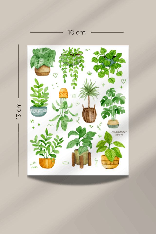 Vintage Bitki Plant Temalı Şeffaf Sticker Seti