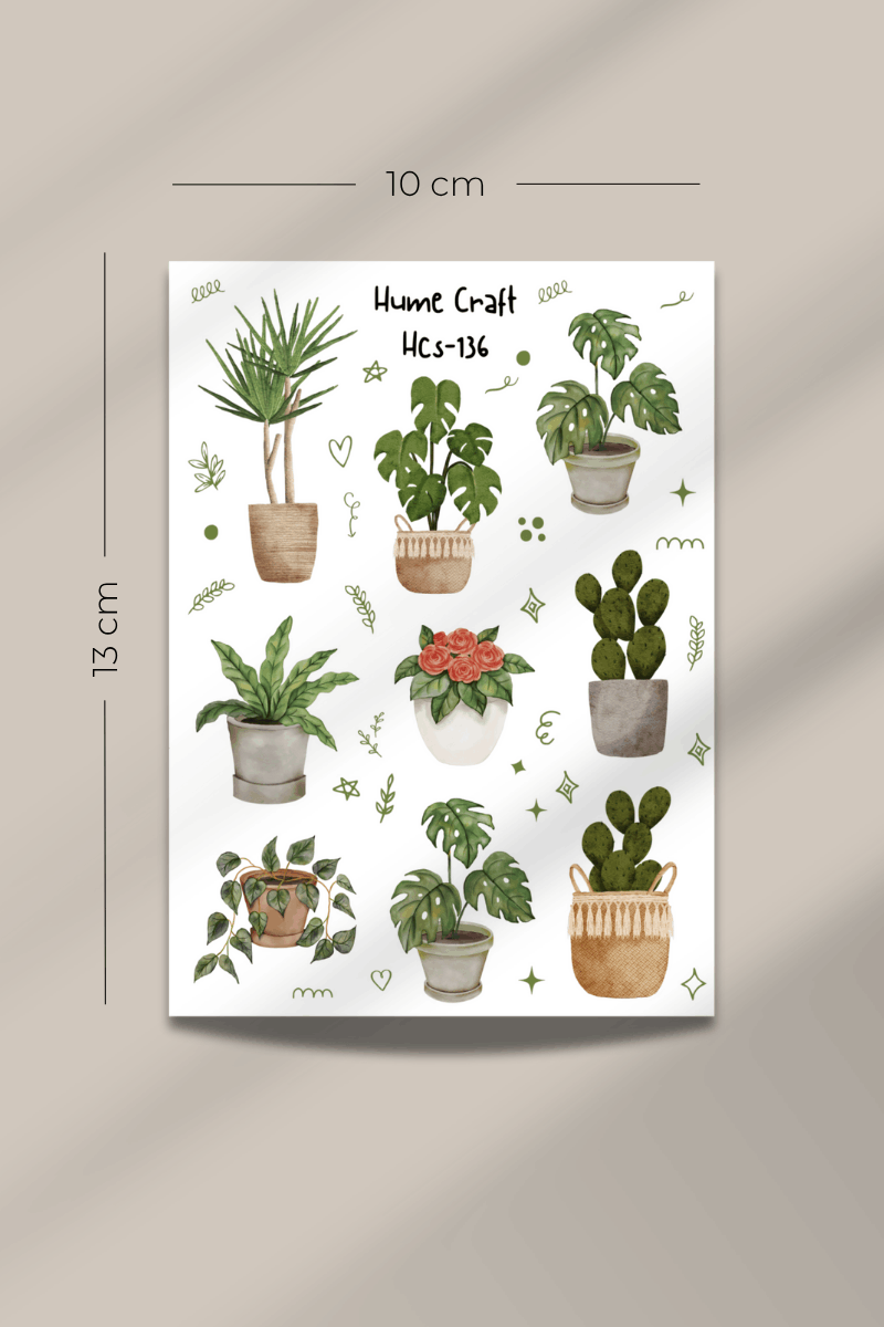 Home Plant Şeffaf Sticker Seti