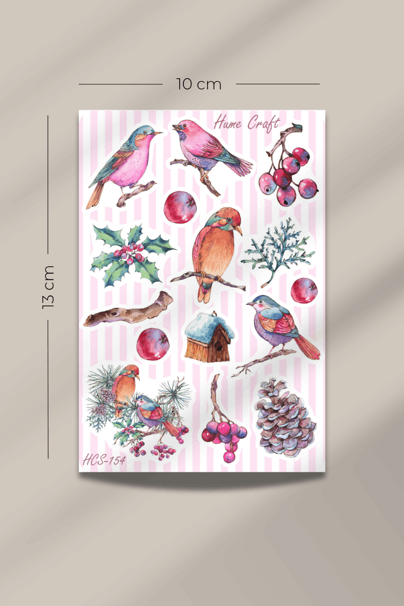 Kuş Temalı Şeffaf Sticker Seti HCS-154