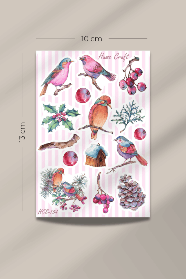 Kuş Temalı Şeffaf Sticker Seti HCS-154